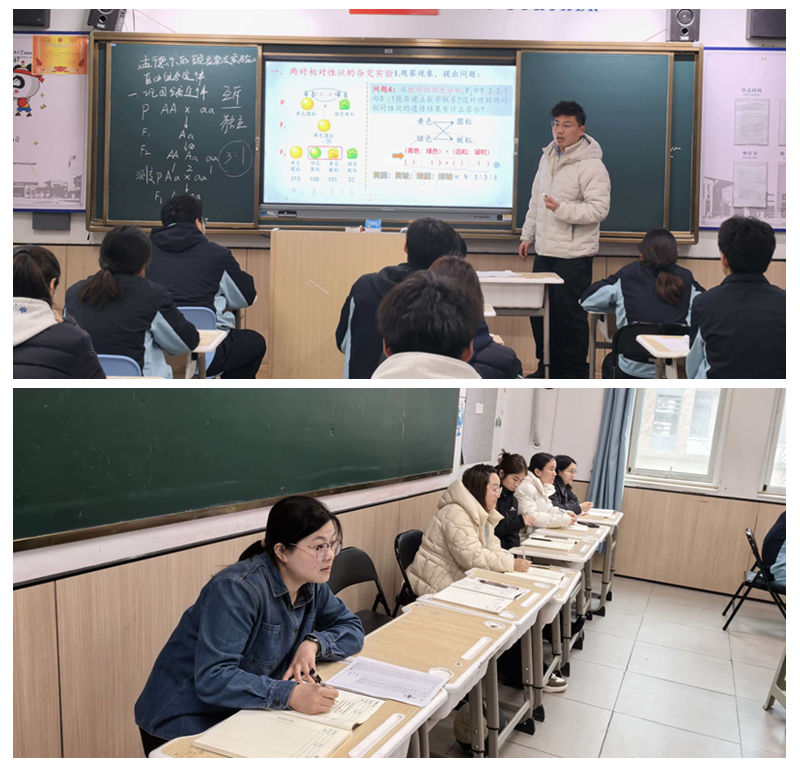 光影魔术手拼图3